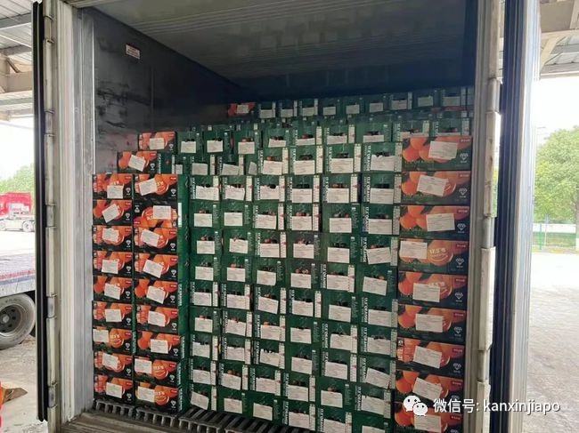 中新物流全線降價 海運快遞低至4.5元/公斤，開啟輕松海淘新時代